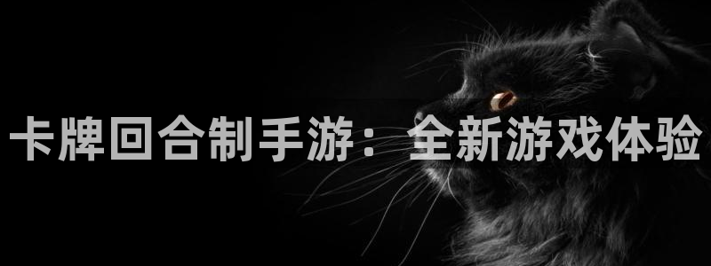 庄闲的80%赢法线路检测：卡牌回合制手游：全新游戏体验