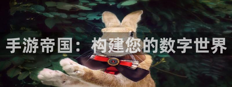 庄闲有什么公式不输