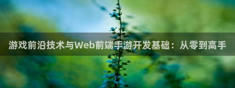 庄闲规则怎么玩