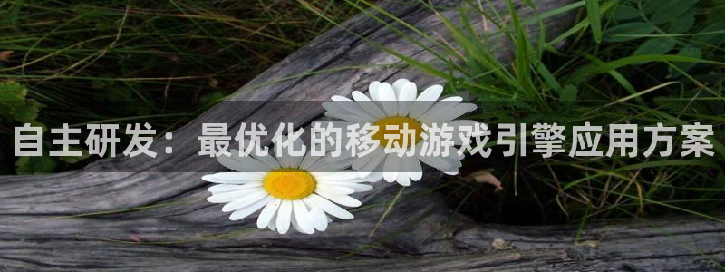真人庄闲游戏官网：自主研发：最优化的移动游戏引擎应用方案