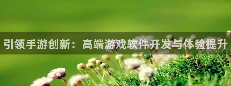 庄闲游戏怎么玩：引领手游创新：高端游戏软件开发与体验提升