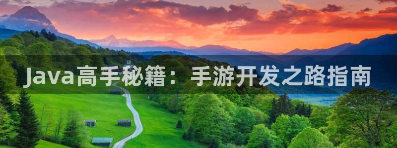 庄闲网络娱乐平台进入：Java高手秘籍：手游开发之路指南