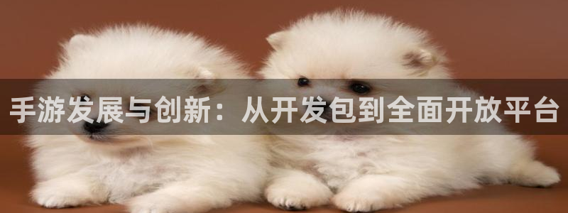 庄闲游戏稳赢规则：手游发展与创新：从开发包到全面开放平台