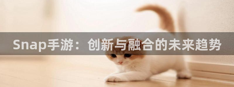庄闲游戏app官网入口：Snap手游：创新与融合的未来趋势