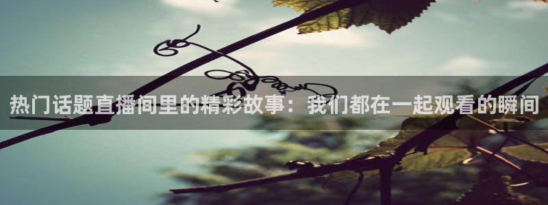 51视频在线直播nba