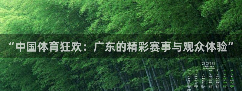 51视频在线直播nba：“中国体育狂欢：广东的精彩赛事与观众体验”