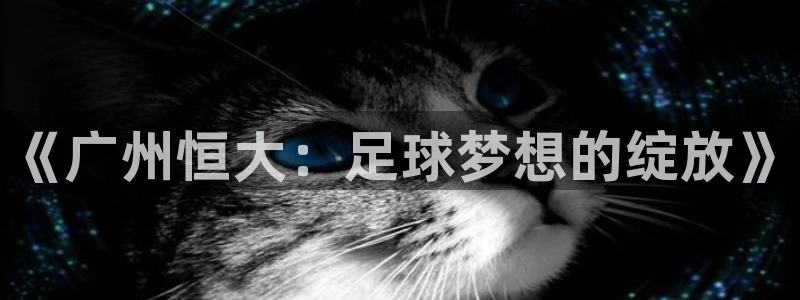51视频在线直播nba：《广州恒大：足球梦想的绽放》