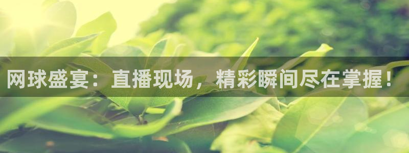 51视频在线直播nba：网球盛宴：直播现场，精彩瞬间尽在掌握！