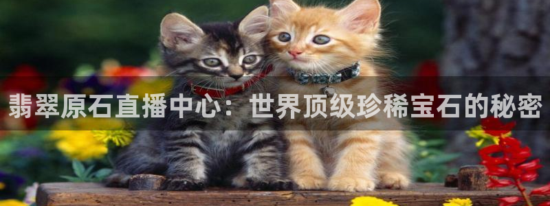 51视频在线直播nba：翡翠原石直播中心：世界顶级珍稀宝石的秘密